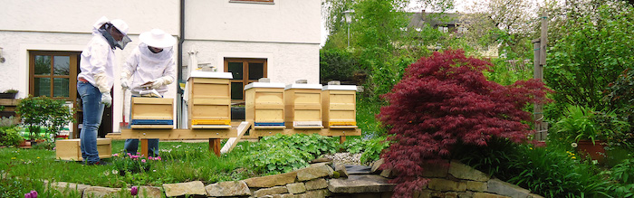 Imker, Bienenstand, Garten